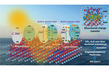 S-scheme Al6Si2O13/ZnWO4 nanocomposites for photocatalytic degradation of dichlorvos and triazophos/chlorpyrifos mixtures 2026.100999